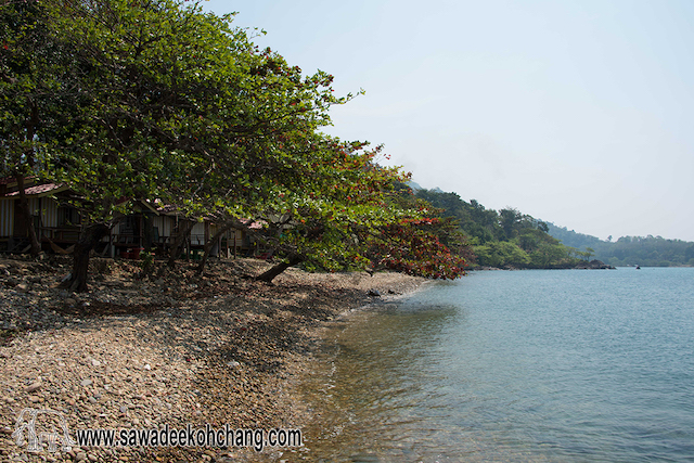 Pearl beach Pearl beach